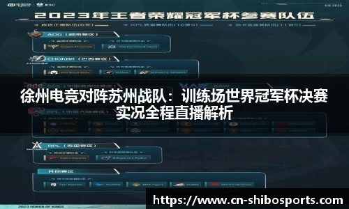 徐州电竞对阵苏州战队：训练场世界冠军杯决赛实况全程直播解析